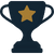 3 Trophy with a gold star, symbolizing achievement and success
