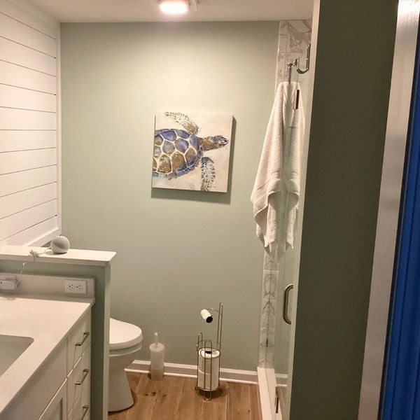 How To Choose The Right Kind Of Interior Paint for Your Home-img1 Pale green bathroom with turtle art, white shiplap, and wood floors