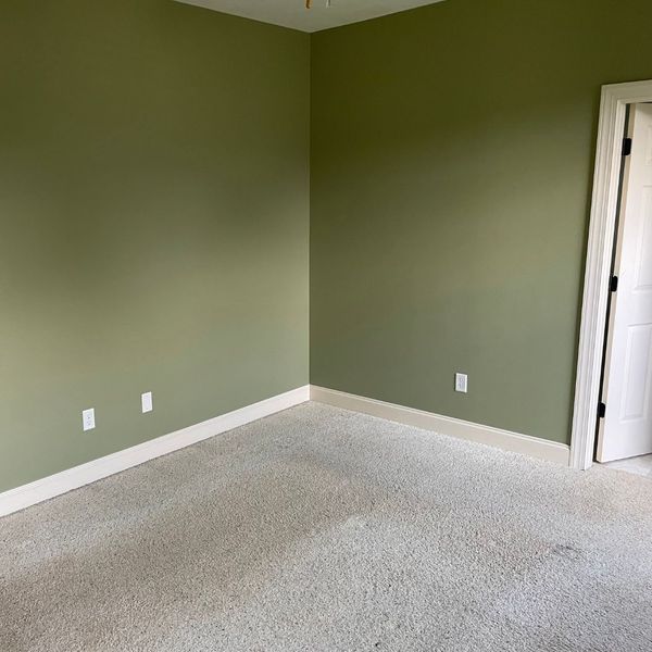 ThingsConsiderBeforeRepaintingHome-2 Empty room with sage green walls, beige carpet, and white trim.