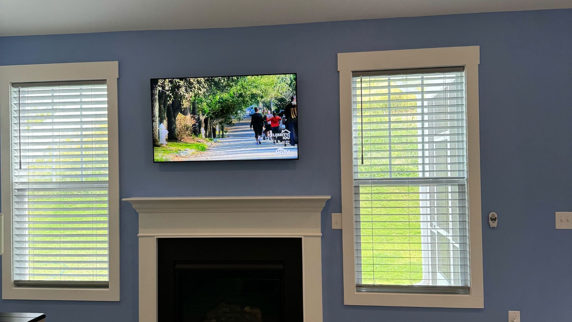 Living room with fireplace, windows, and TV showing a nature scene